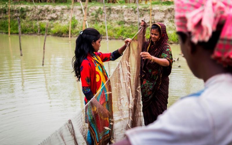 Nutrition-sensitive and climate-smart indigenous small fish species (SIS) and carp integrated production.